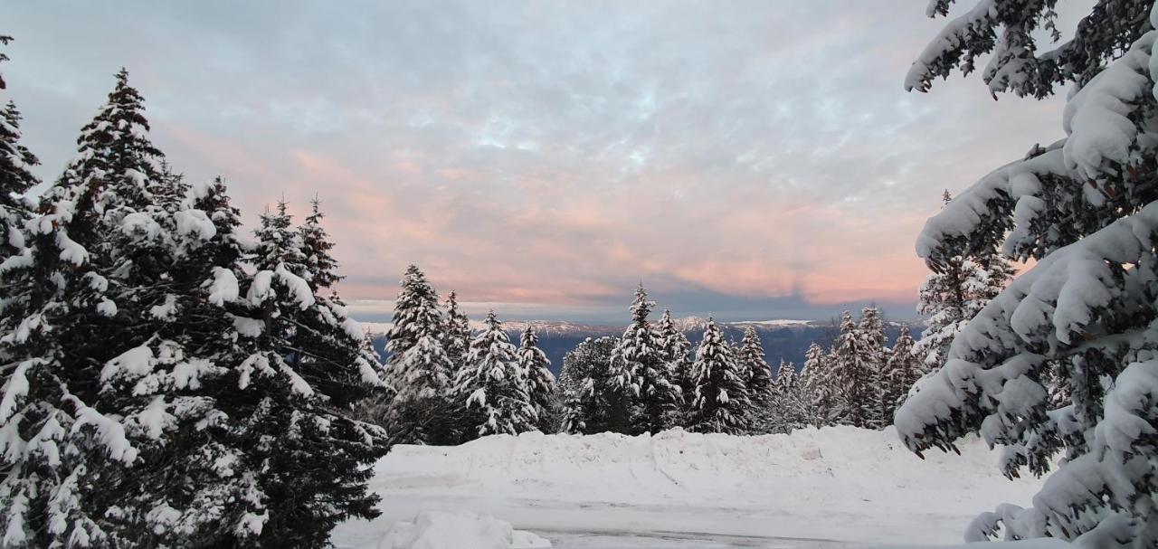 Grand Chalet Standing Avec Jacuzzi A Chamrousse Ski 1750 Exterior foto